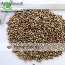 China Origin competitive price Hemp seeds
